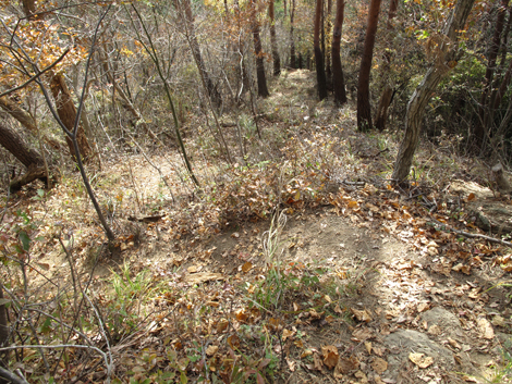 20181126hike (183)